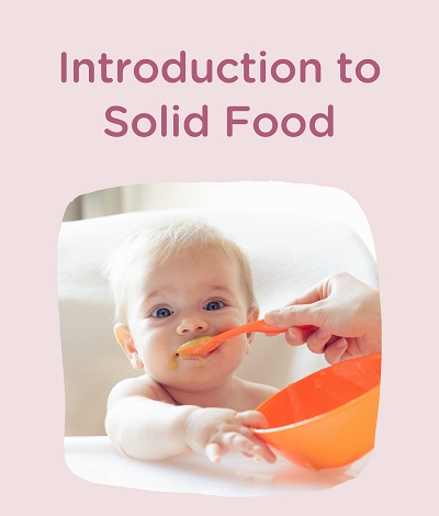 Introduction to Solid Food